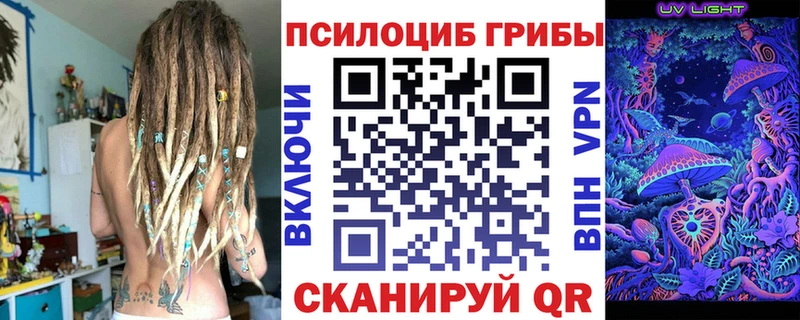 Галлюциногенные грибы Psilocybine cubensis  купить наркотик  Отрадный 